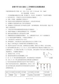 46，山东省泰安新泰市新泰中学2023-2024学年高三上学期期末仿真模拟化学试题