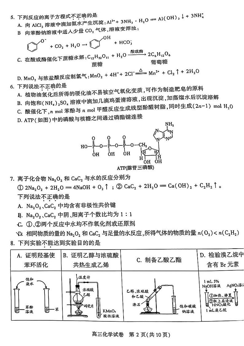 2023-2024学年北京市朝阳区高三上学期期末考试化学试题及答案02