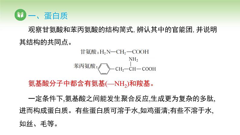人教版高中化学必修二课件 第七章 第四节 第二课时 蛋白质 油脂（课件）第4页