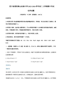 四川省绵阳南山实验中学2023-2024学年高二上学期期中考试化学试题含答案