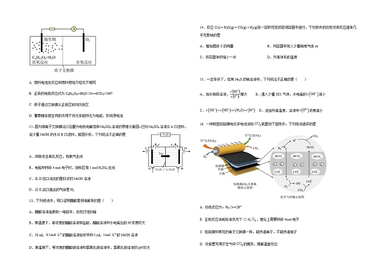 湖北省黄冈市黄梅县国际育才高级中学2023-2024学年高二上学期12月月考化学试题含答案03