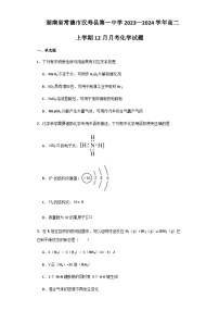 湖南省常德市汉寿县第一中学2023-2024学年高二上学期12月月考化学试题含答案