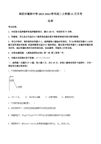 安徽省阜阳市城郊中学2023-2024学年高二上学期11月月考化学试题含答案