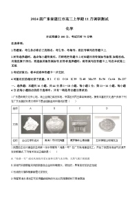 2024届广东省湛江市高三上学期11月调研测试化学试题含答案