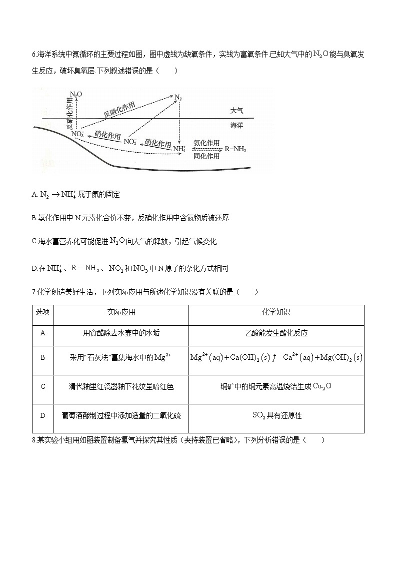2024届广东省湛江市高三上学期11月调研测试化学试题含答案第3页