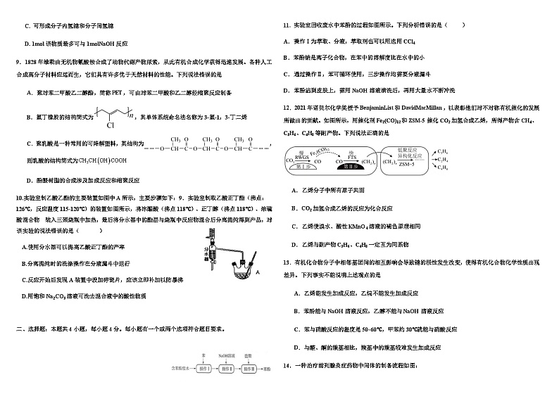 山东省潍坊市诸城市繁华中学2023-2024学年高三上学期12月月考化学试题含答案02