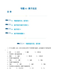 专题03+离子反应(练习)-2024年高考化学二轮复习讲练测（新教材新高考）