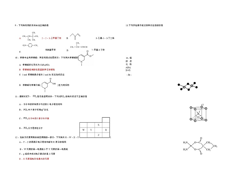 广东省东莞市东莞外国语学校2023-2024学年高二上学期11月期中考试化学试题含答案02
