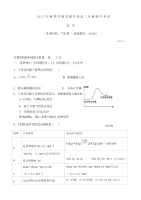 广东省深圳市富源学校2023-2024学年高二上学期11月期中考试化学试题Word版含答案