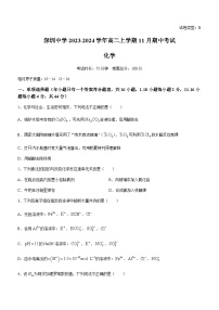 广东省深圳市中学2023-2024学年高二上学期11月期中考试化学试题含答案