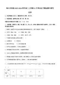 海南省海口市两校2023-2024学年高二上学期11月学业水平测试期中联考化学试题含答案