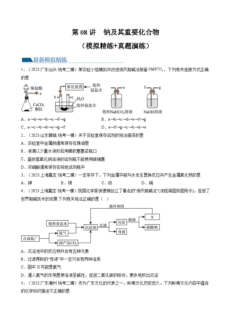 第08讲 钠及其重要化合物（练习）-备战2024年高考化学一轮复习精品课件+讲义+练习（新教材新高考）01