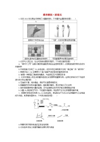 新教材2024高考化学二轮专题复习专题1物质的组成分类性质及应用模考精练