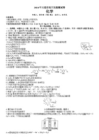 2024大连高三上学期（期末考试）化学含答案