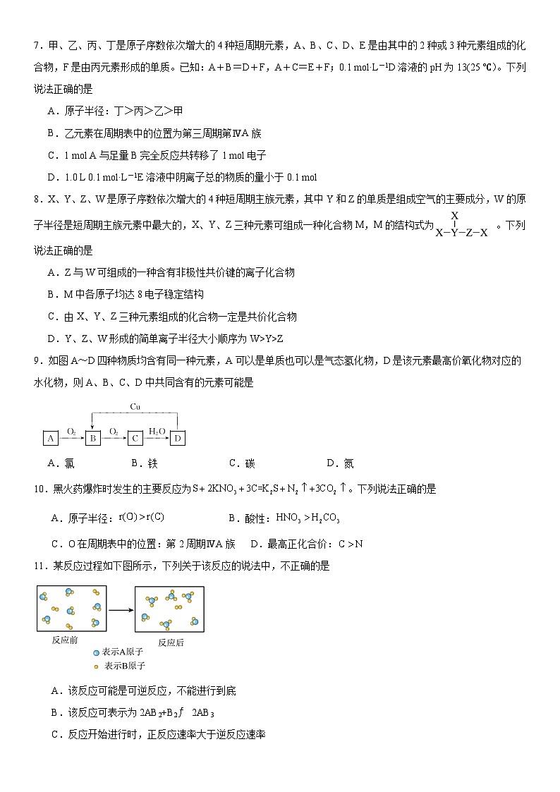 第四章《物质结构元素周期律》检测题—2023--2024学年上学期高一化学人教版（2019）必修第一册第2页
