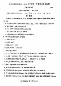 北京朝阳区2023-2024高三上学期期末化学试卷及答案