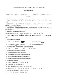 湖北省武汉市部分重点中学2023-2024学年高二上学期期末联考化学试卷（含答案）