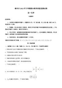 湖南省郴州市2023-2024学年高一上学期期末教学质量监测化学试卷（含答案）