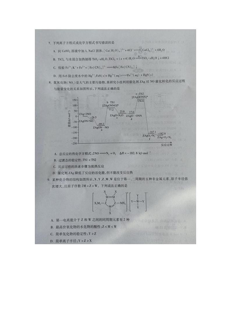 2024河北省高三上学期期末质量监测联考试题化学PDF版含解析第3页