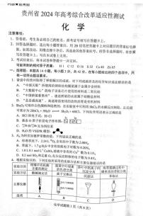 九省联考【贵州省】2024届高三化学试题