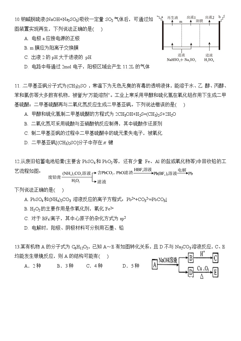 广东省广州市番禺区2023-2024学年高三上学期1月段考化学试题（含答案）第3页
