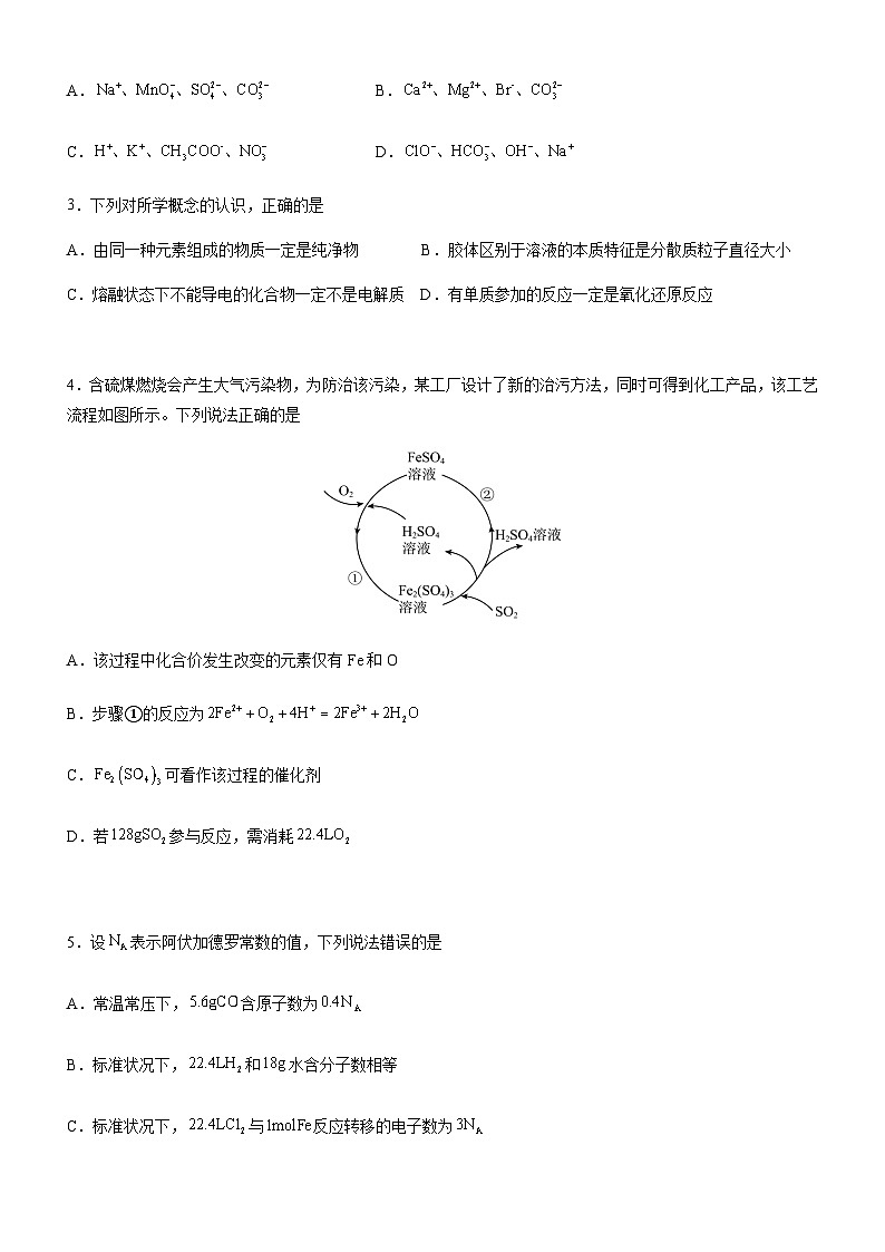 广东省阳江市2023-2024学年高一上学期1月期末测试化学试题（含答案）02