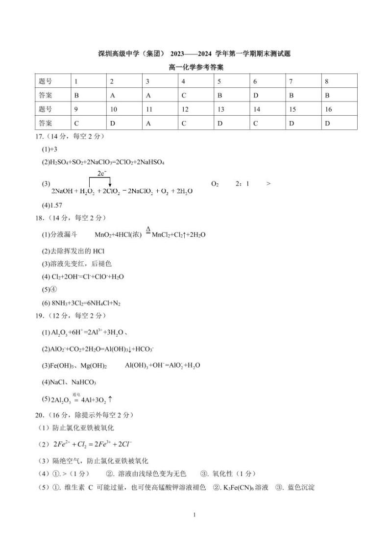广东省深圳市高级中学2023-2024学年高一上学期期末考试化学试题01