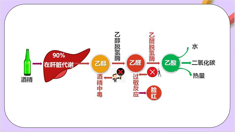 人教版高中化学选修三3.2.1 《 醇》课件第4页