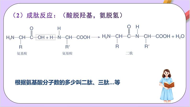 人教版高中化学选修三4.2《 蛋白质》课件07