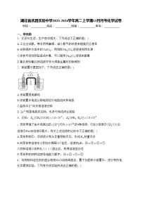 湖北省武昌实验中学2023-2024学年高二上学期12月月考化学试卷(含答案)