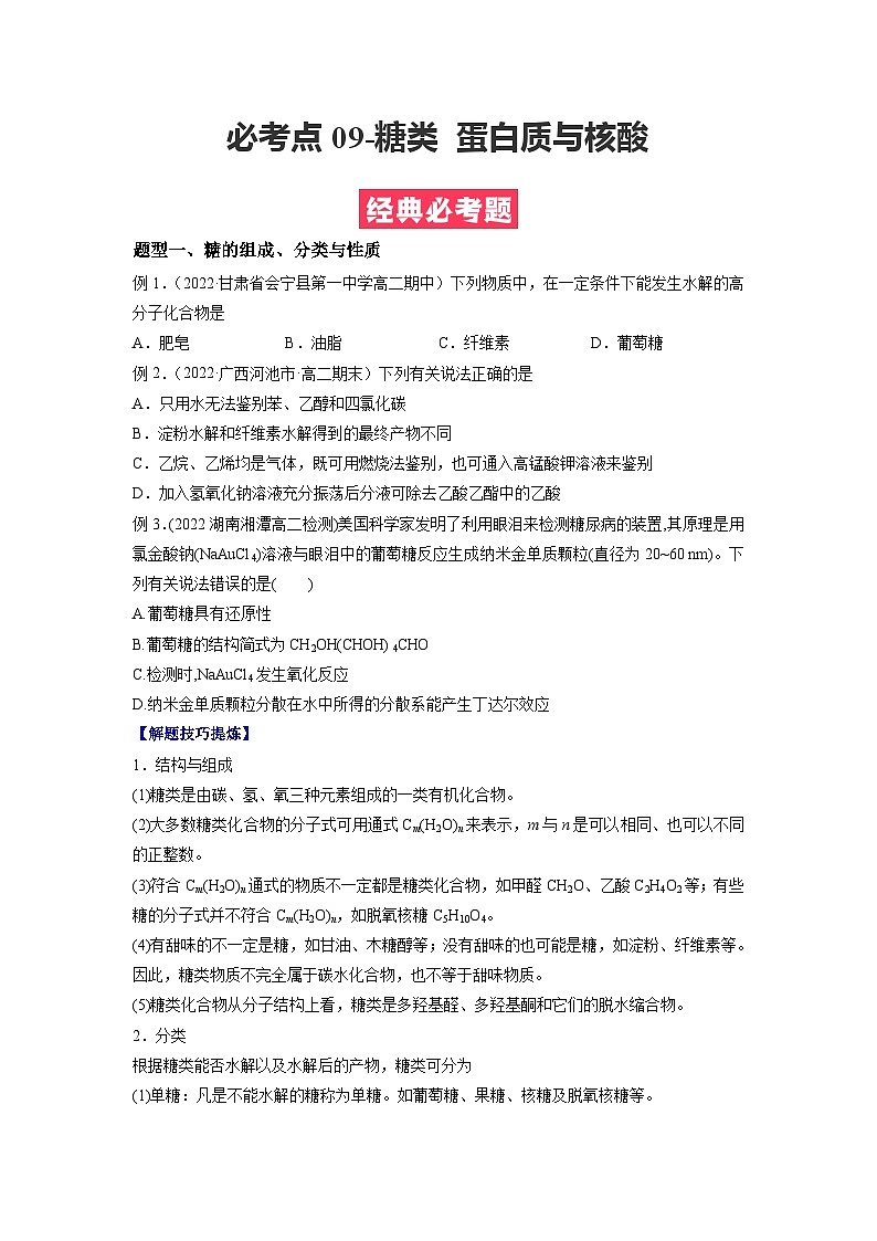 必考点10 糖类 蛋白质与核酸 -2023-2024学年高二化学下学期期中期末考点大串讲（人教版选择性必修3）01