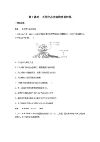 高中化学人教版 (2019)必修 第二册实验活动5 不同价态含硫物质的转化第3课时同步达标检测题