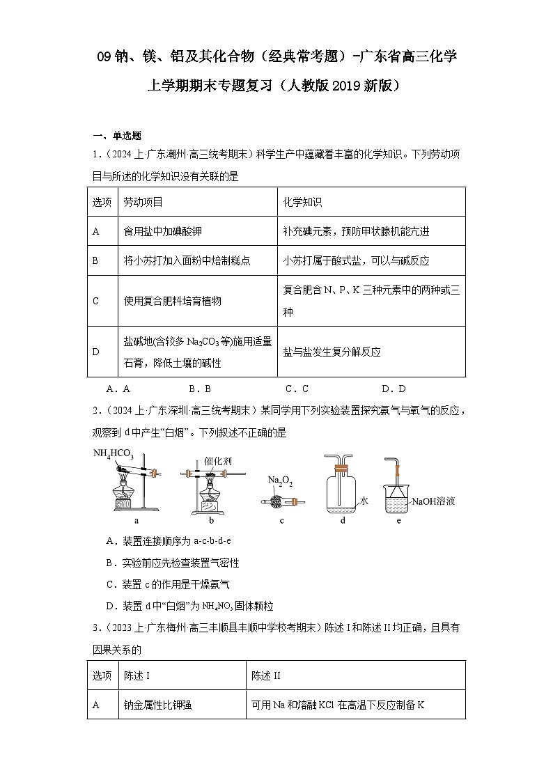 09钠、镁、铝及其化合物（经典常考题）-广东省高三化学上学期期末专题复习（人教版2019新版）第1页