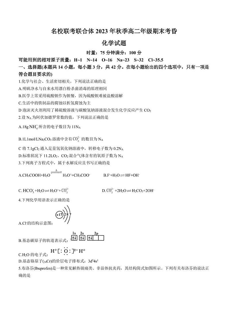 湖南长沙名校联考联合体2023-2024学年高二上学期期末考试化学试题01