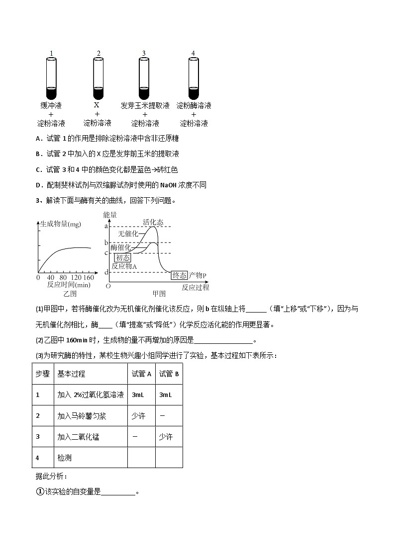 第03讲 降低化学反应活化能的酶-【寒假衔接讲义】高一生物寒假讲义练习03