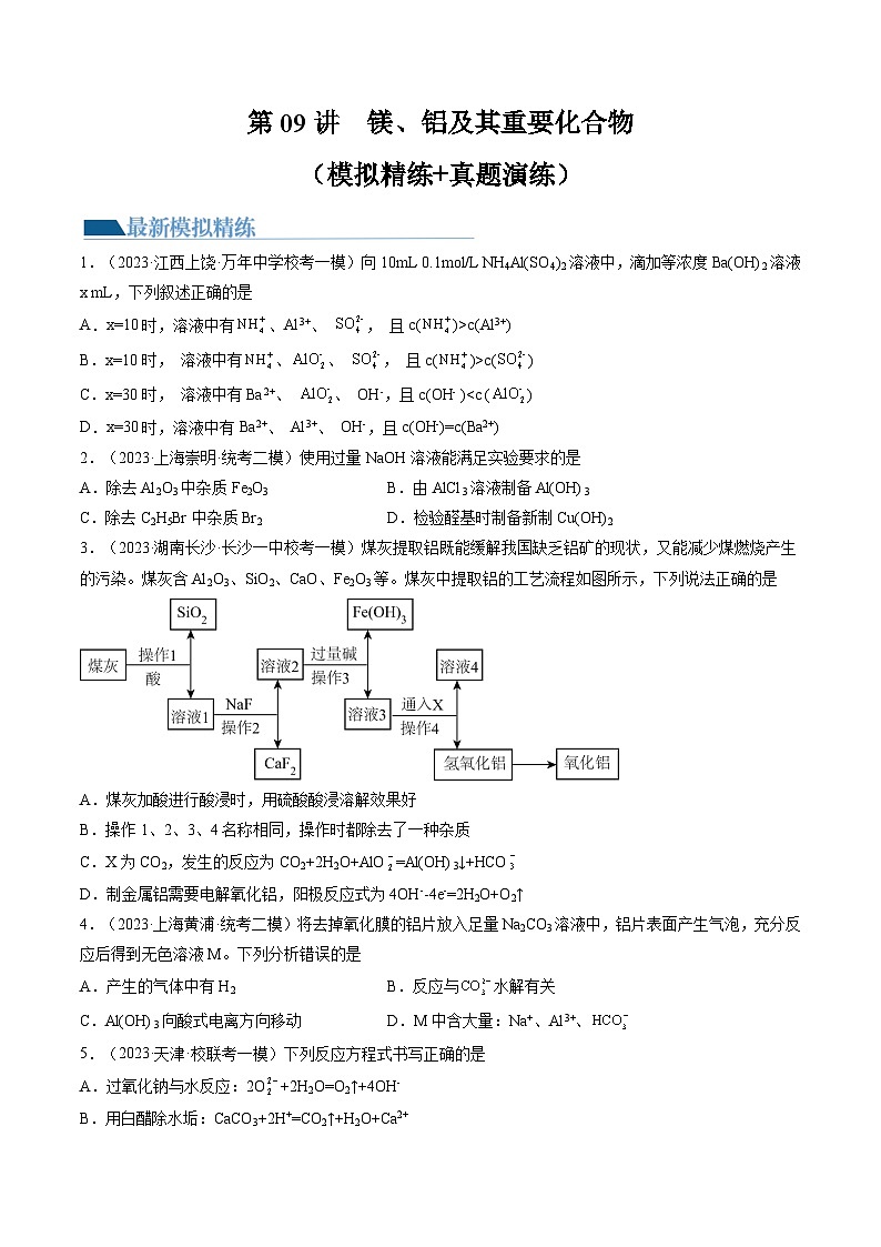 新高考化学复习讲义+练习 第09讲 镁、铝及其重要化合物（讲义+练习）（原卷版）01