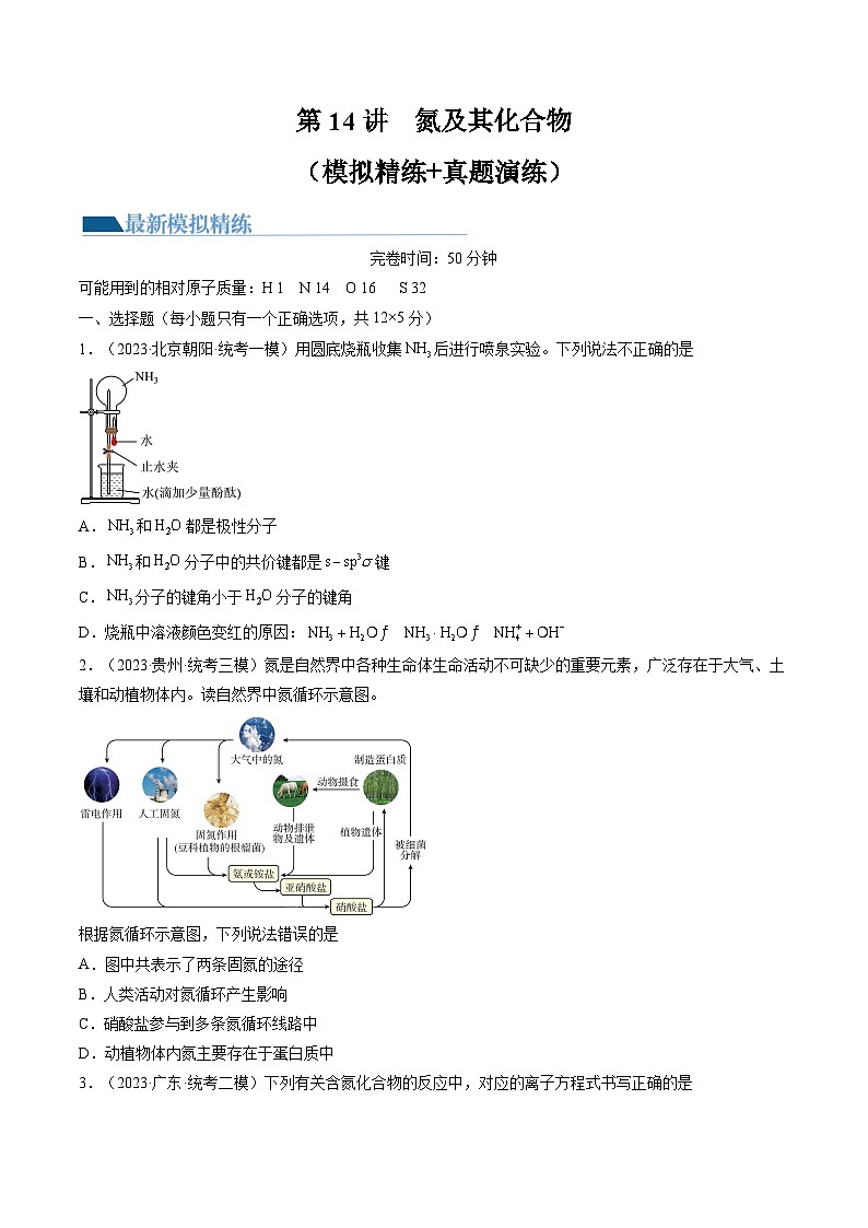 新高考化学复习讲义+练习+练习 第14讲 氮及其化合物（讲义）（原卷版+解析）01