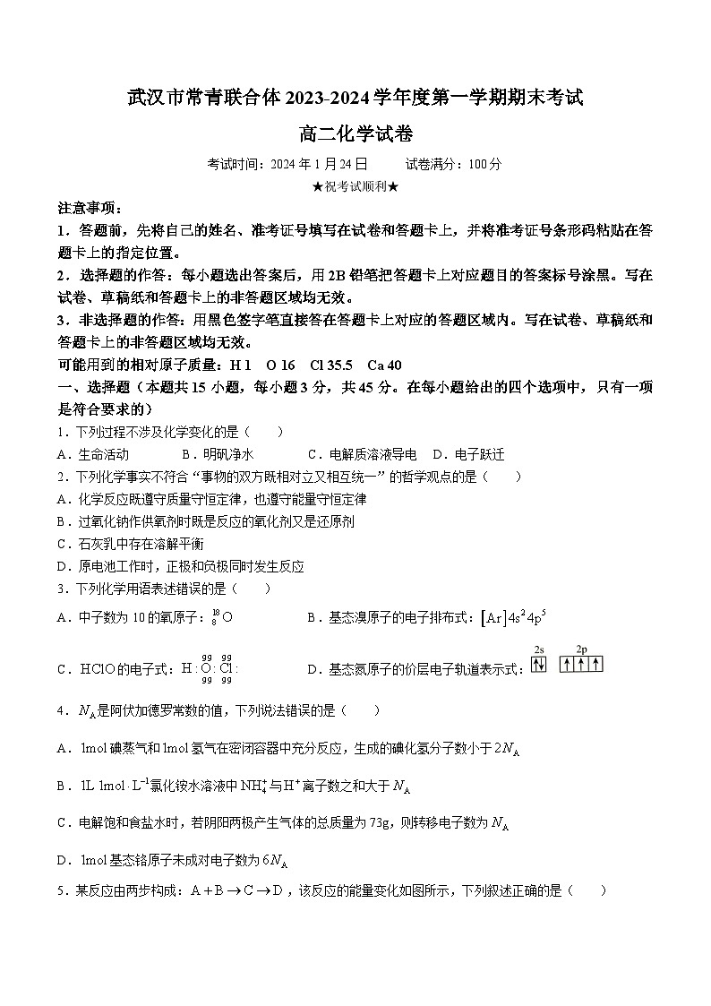 湖北省武汉市常青联合体联考2023-2024学年高二上学期1月期末考试化学试题（含答案）01