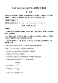 云南省保山市、文山州2023-2024学年高一上学期1月期末质量监测化学试题(含答案)