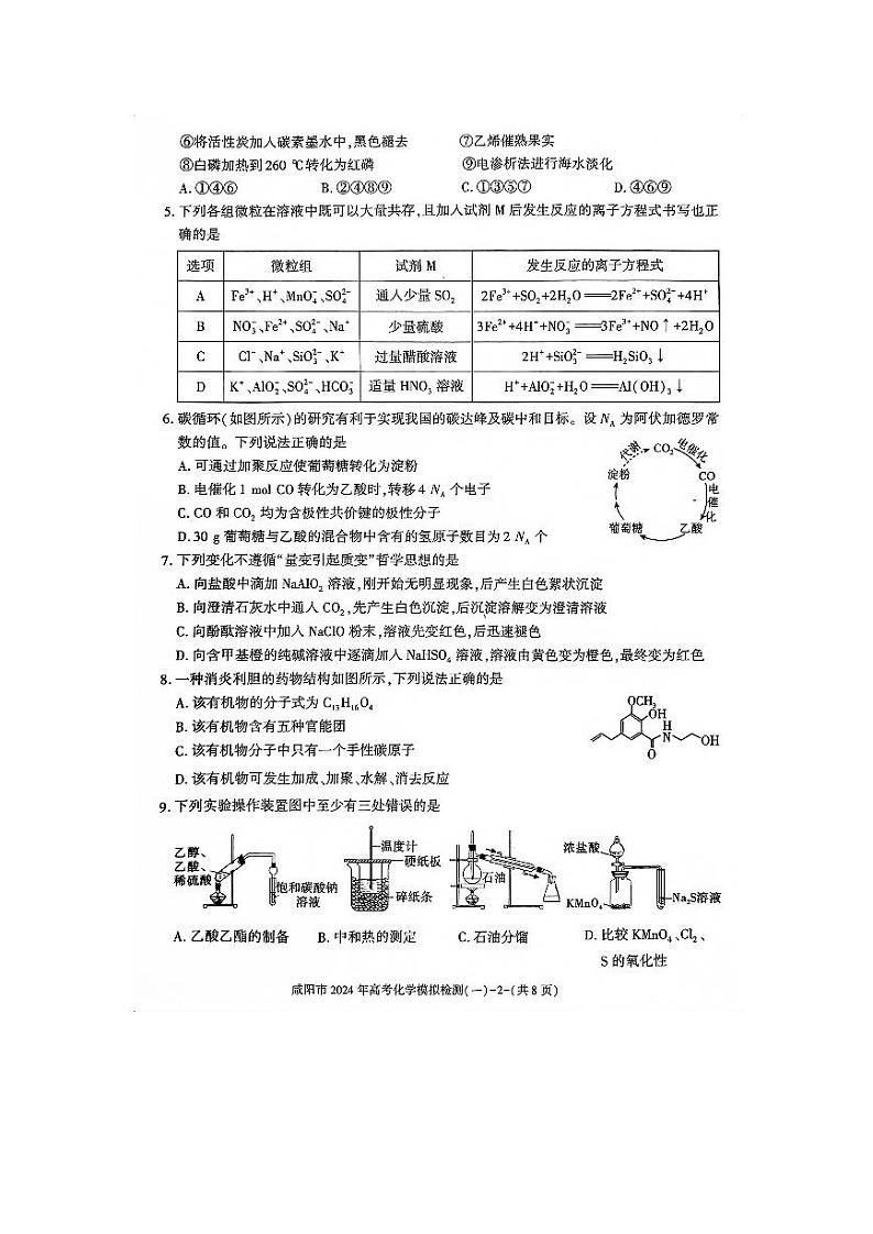 陕西省咸阳市2023-2024高三上学期高考模拟检测（一）化学试卷及答案第2页