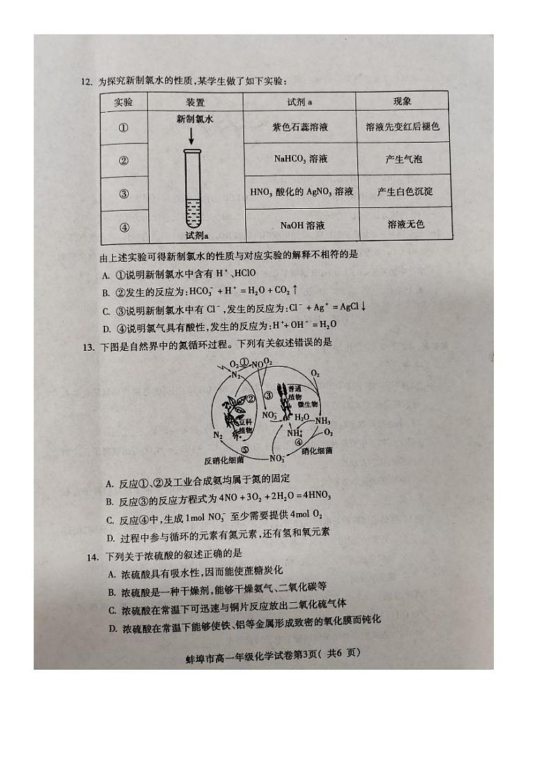 2024蚌埠高一上学期期末考试化学PDF版含答案第3页