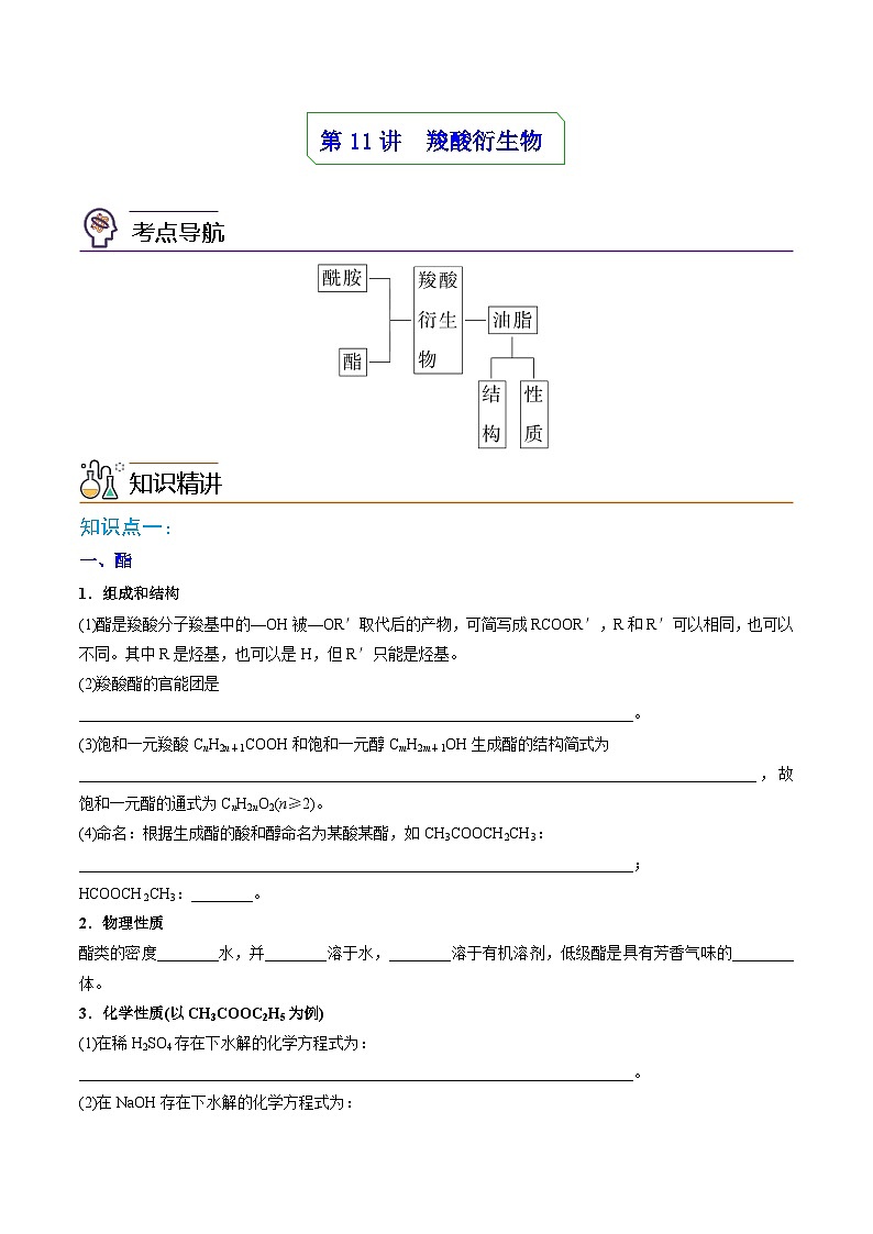 人教版（2019）高中化学 选修3 精品讲义 第11讲 羧酸衍生物01