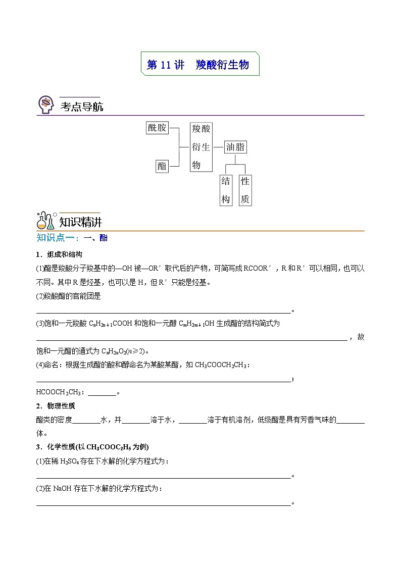 人教版（2019）高中化学 选修3 精品讲义 第11讲 羧酸衍生物01