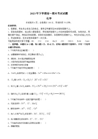 湖南省株洲市方舟兰天高级中学2023-2024学年高一上学期期末考试化学试卷+