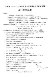 河北省石家庄市辛集市2023-2024学年高三上学期2月期末化学试题