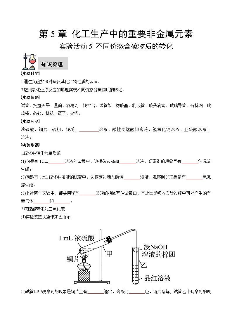 实验活动5 不同价态含硫物质的转化（原卷版）第1页