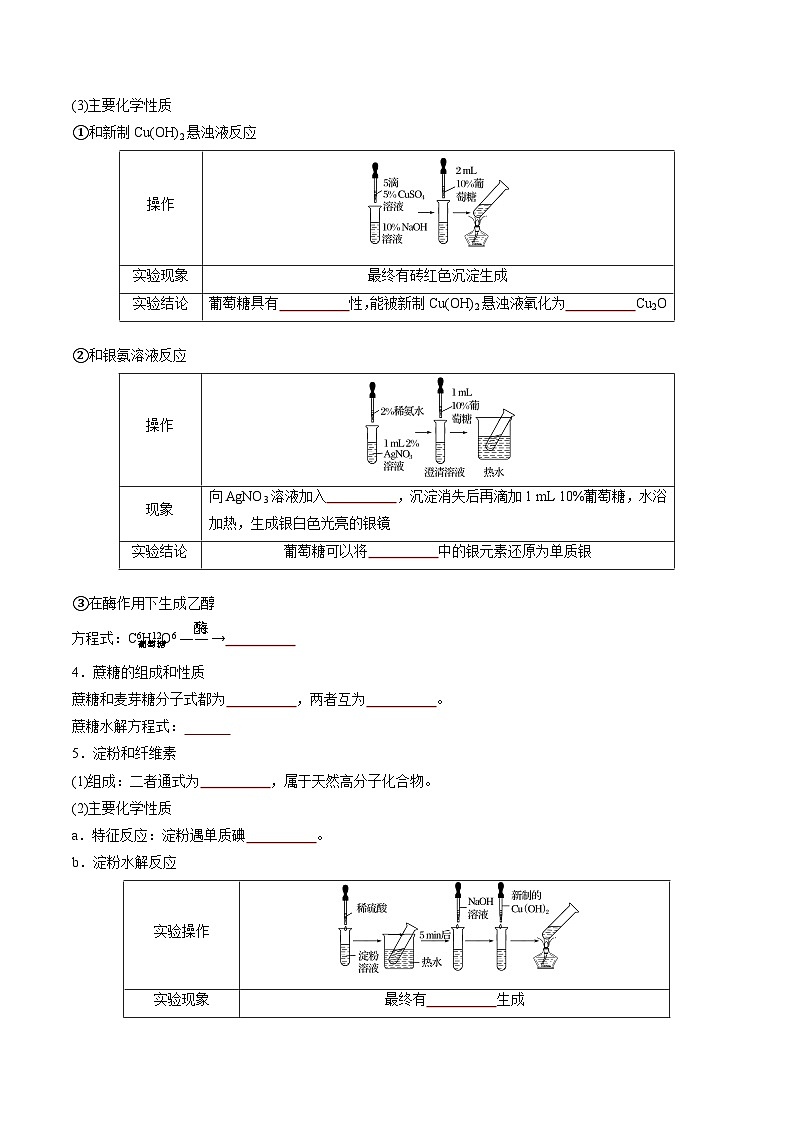 第7章 第4节 第1课时 糖类  蛋白质-高一化学同步讲练测（人教版必修第二册）02