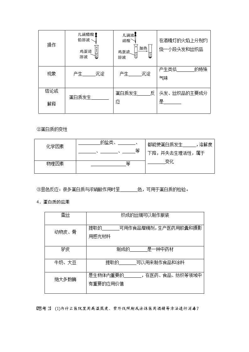 第七章 第四节 第2课时　蛋白质　油脂  学案（含答案）—2024春高中化学人教版必修二02