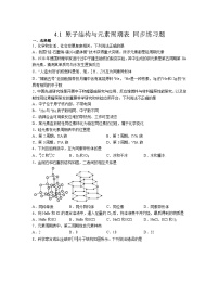 高中化学人教版 (2019)必修 第一册第一节 原子结构与元素周期表课后练习题