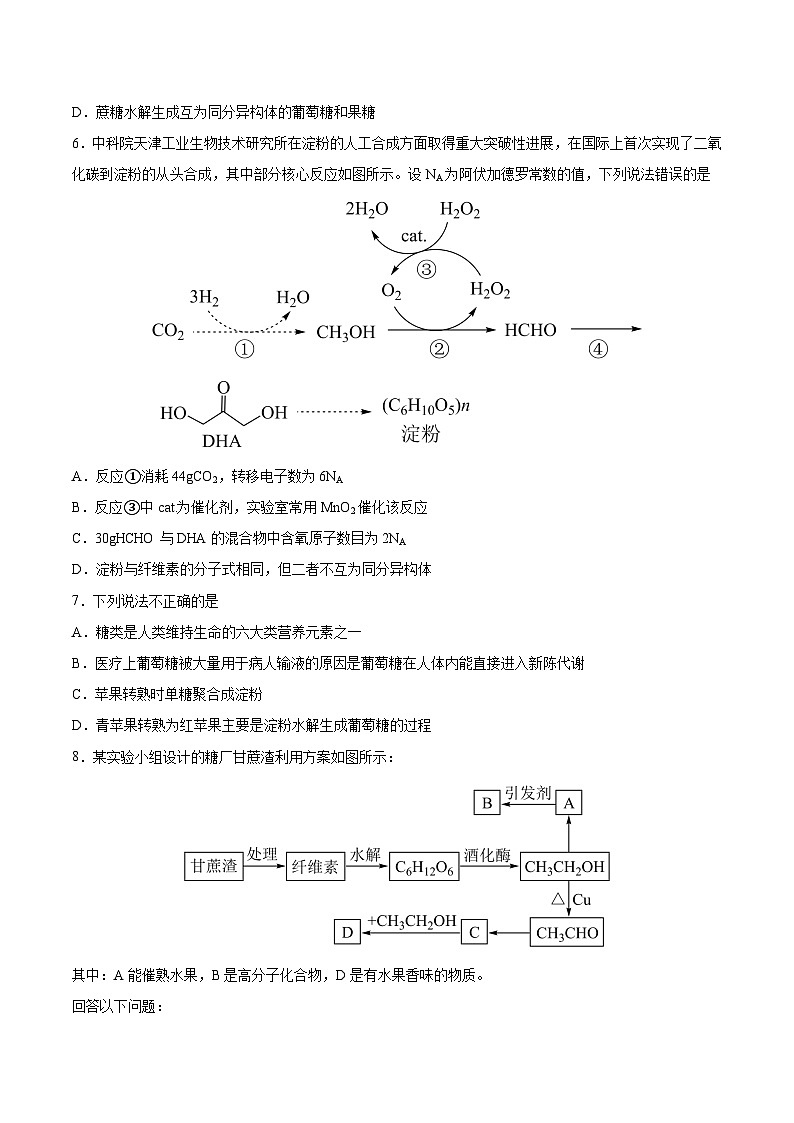 4.1.2 糖类（2）（分层作业）原卷版 2022-2023学年高一化学同步备课系列（人教版2019必修第二册）第2页